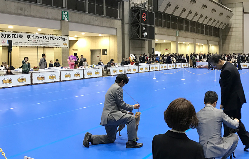 FCI東京インターナショナルドッグショー2016 警備